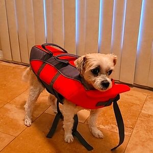 Frisco Ripstop Medium dog life jacket
